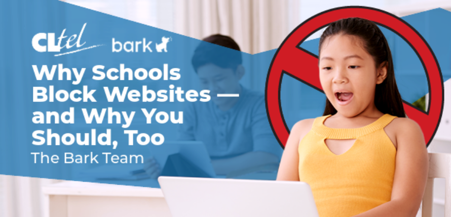 Why schools block websites and why you should too