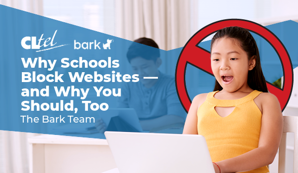 Why schools block websites and why you should too